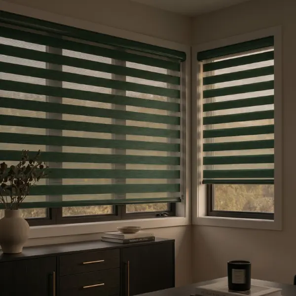 Room darkening blinds Ottawa home